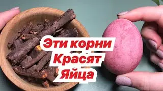 Яйца на Пасху. Как красиво покрасить яйца на Пасху! / Без ХИМИИ! за 5 МИНУТ