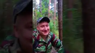 Набрал Лесное Чудо #еданаогне #животные #белыегрибы
