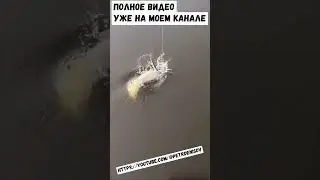 Рыбалка перед запретом. 