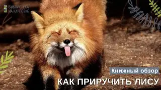 Книжный обзор 