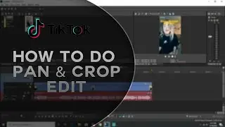 How to do a Pan and Crop edit for Tik Tok (Sony Vegas)