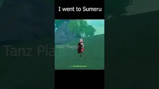 I Explored Sumeru In Genshin Impact 