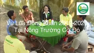 VỤ LÚA ĐÔNG XUÂN 2019-2020 | Cách Sử Dụng Thuốc Đầu Vụ | TMT Workout