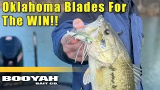 Why YOU Should Be Throwing the Oklahoma Blade (NEW BOOYAH Covert Finesse Spinnerbait)