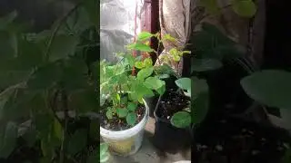 #Как