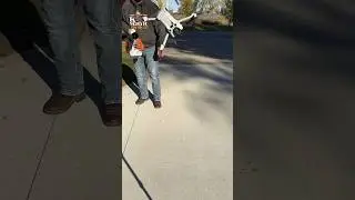 Mini 4 Pro vs. 166mph Blower