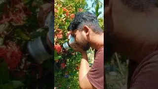 Cheapest Macro lens for a Camera body | Turn Your normal lens into a Macro Lens || 
