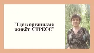 "Где в организме живет СТРЕСС ???"