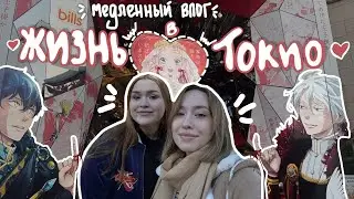 БУДНИ В ЯПОНИИ: осень в Токио, Харадзюку и храм Мейдзи