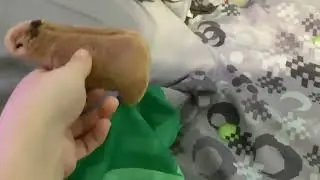 Capybara Jukes fries