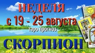 СКОРПИОН 🌷🌷🌷 НЕДЕЛЯ с 19 - 25 АВГУСТА 2024 года Таро Прогноз ГОРОСКОП Angel Tarot