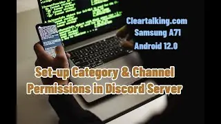 How to Set Up Category and Channel Permissions in Discord server? 