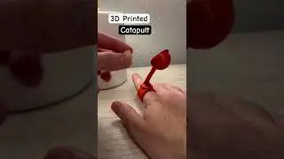 3D printed Catapult #3dprinter #3dprinting #3dprints #catapult #thingiverse #engineering