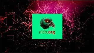 nido . org