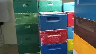 Сегодня на пасеке  16. Februar 2021
