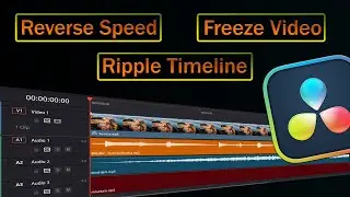 How to Change Speed in DaVinci Resolve  -  Freeze , Reverse , Speed Change