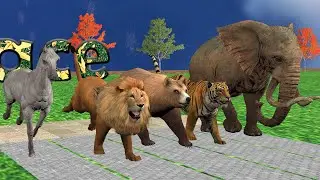 Wild Animal Race in Rainy Day, Horse, Lion, Tiger, Bear, Elephant