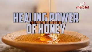 THE HEALING POWER OF HONEY 🐝