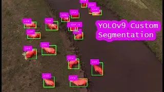 YOLOv9 Custom Instance Segmentation | YOLOv9 Instance Segmentation  | YOLOv9 | computer vision