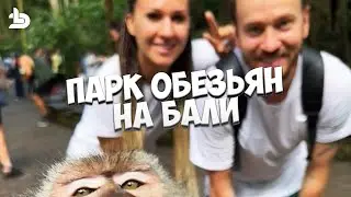 Monkey Forest Лес Обезьян Ubud Bali