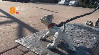 Что необходимо знать, прежде чем взять животное из приюта? | 