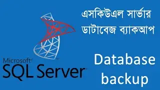 How to create SQL Server full Database backup with schedule