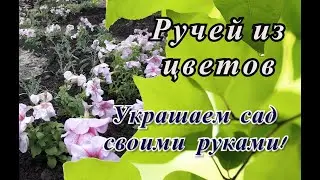 Ручеёк из цветов. Клумбы своими руками