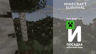 Сбор древесины для домов и посадка березовой рощи - Minecraft