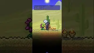 Terraria Quick Tip Nurse
