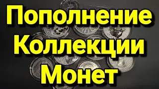 Пополнение Коллекции Монет (Январь 2024 Год)