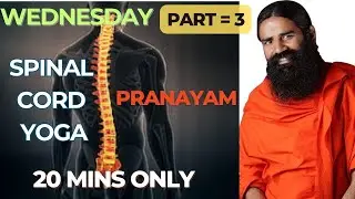 Part 3 - Wednesday - Yoga for Back Pain  and Pranayam. Spinal Cord Yoga exercise |