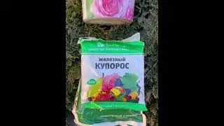 Осенняя искореняющая обработка плодового сада осень 🍂
