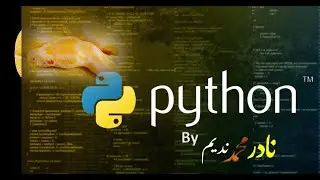 Python tutorial : Input & Output: Conditional Statements, Operators, and Functions | Lecture 2