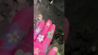 Що попалось? 