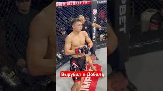 Вырубил и Добил 