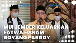 Ketua MUI DKI Tanggapi Keputusan MUI Jember Keluarkan Fatwa Haram Goyang Pargoy