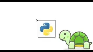 Python Turtle: Drawing a Square