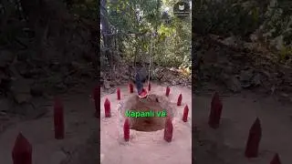 Yaban Domuzlarına Kapan Çaresi! 🐗🐽😮