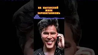 #разводилы