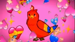 ❤️Wholesome Parrots Dancing❤️