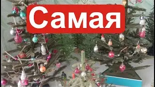 Маленькая Елка Украины. Collection.