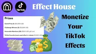 Có thể kiếm tiền từ hiệu ứng của bạn không? | Can your monetize TikTok effects?