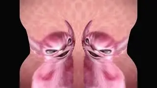 Preview 2 Numa Cat 3 effects In Blind Major
