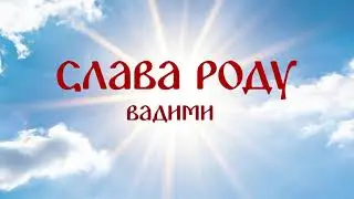ВадиМир: Три Вопроса | Е.В. Александру Н.Парамонову | Целеполагание, Самоидентификация, Действие ч4