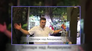 Отдых в Дубаи. Два по цене одного.