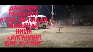 Полвон нима қилганини бир кўринг😱😱😱😱