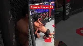 Горила нервничать 