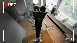 I CAUGHT CATNAP ON CAMERA!