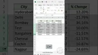 Excel Shortcut to Insert a New Row between every record 