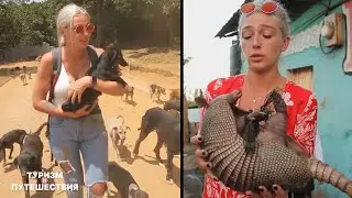 СПАСЕНИЕ ЖИВОТНЫХ в выпусках Орел и Решка. Настя Ивлеева и её добрые поступки | Туризм и путешествия